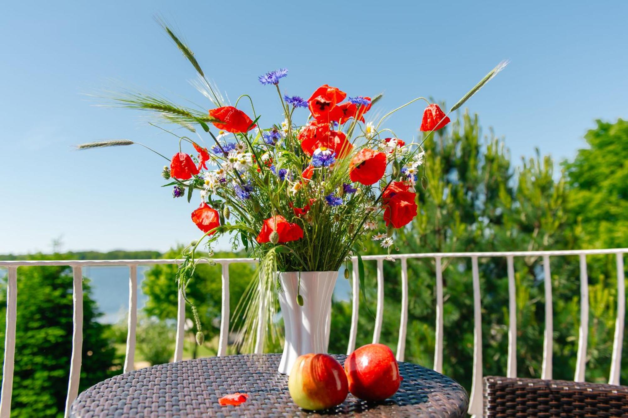 Selliner Ferienappartements Buitenkant foto
